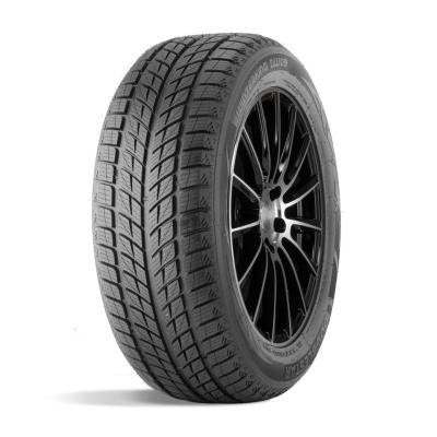 Автошина ДаблСтар 215/55/18 H95 DW09 фото 1